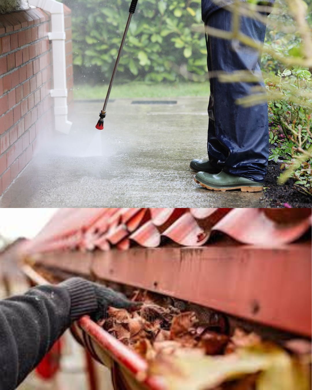 Gutter & Soft Wash