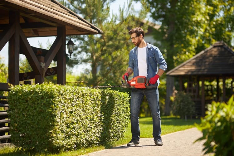 Hedge & Tree Trimming